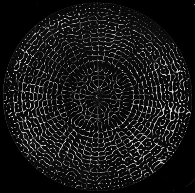 cymatics.jpg