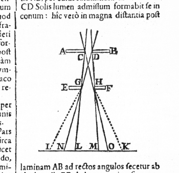 grimaldi3.jpg