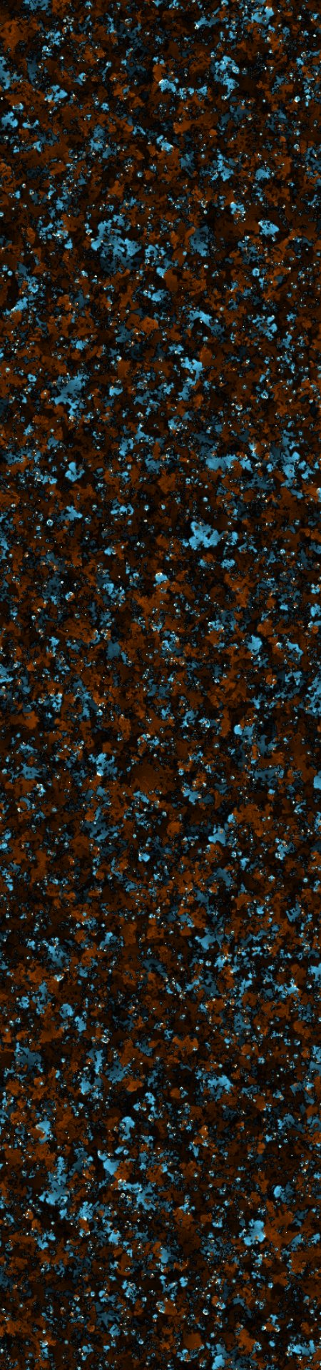 lichen020101015_2.jpg