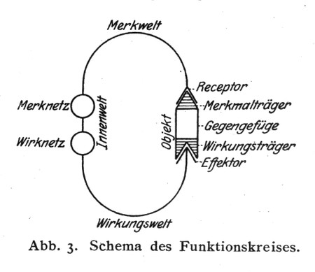 uexkull_funkreis.jpg