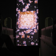 film #43 in the Stedelijk.