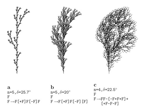 An example of an L-system.